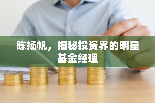 陈扬帆，揭秘投资界的明星基金经理