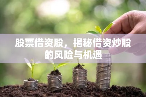 股票借资股，揭秘借资炒股的风险与机遇