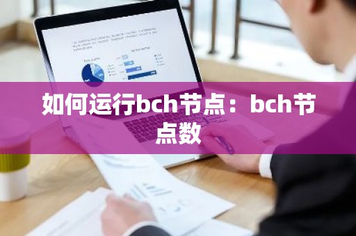 如何运行bch节点：bch节点数