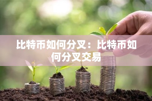比特币如何分叉：比特币如何分叉交易