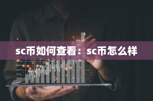 sc币如何查看：sc币怎么样