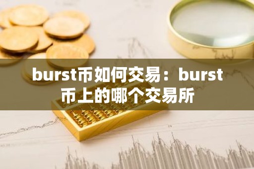 burst币如何交易：burst币上的哪个交易所