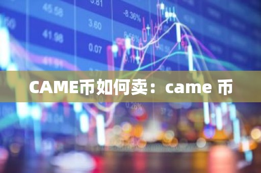 CAME币如何卖：came 币