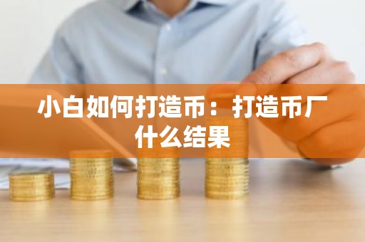 小白如何打造币：打造币厂什么结果
