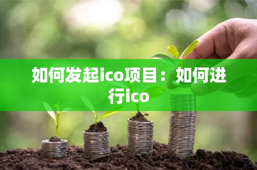 如何发起ico项目：如何进行ico