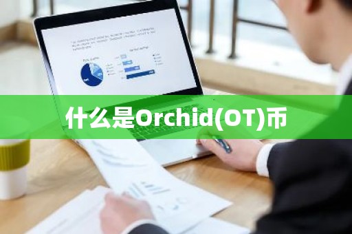 什么是Orchid(OT)币
