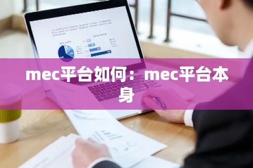 mec平台如何：mec平台本身