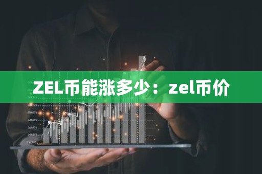 ZEL币能涨多少：zel币价