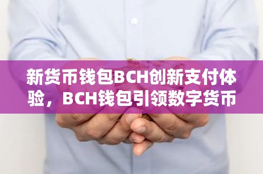 新货币钱包BCH创新支付体验，BCH钱包引领数字货币潮流