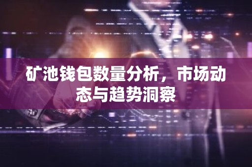 矿池钱包数量分析，市场动态与趋势洞察