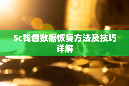 Sc钱包数据恢复方法及技巧详解