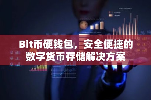 Bit币硬钱包，安全便捷的数字货币存储解决方案