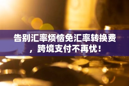 告别汇率烦恼免汇率转换费，跨境支付不再忧！