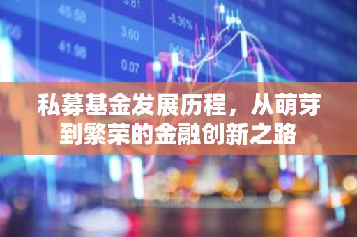 私募基金发展历程，从萌芽到繁荣的金融创新之路