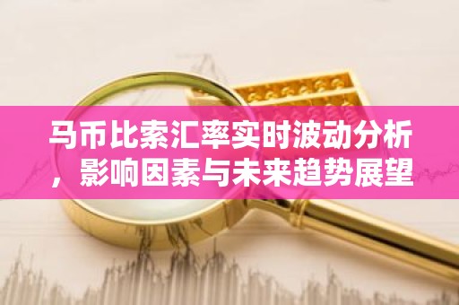马币比索汇率实时波动分析，影响因素与未来趋势展望