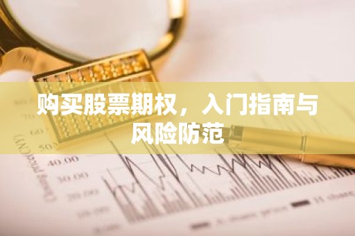 购买股票期权，入门指南与风险防范