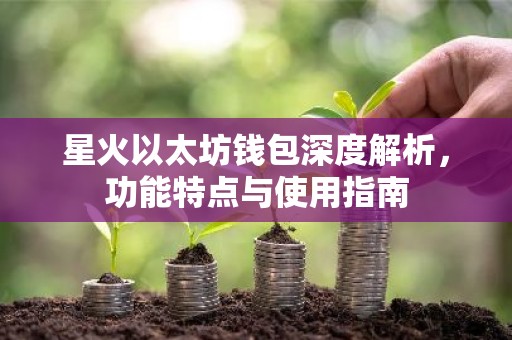 星火以太坊钱包深度解析，功能特点与使用指南