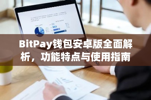 BitPay钱包安卓版全面解析，功能特点与使用指南