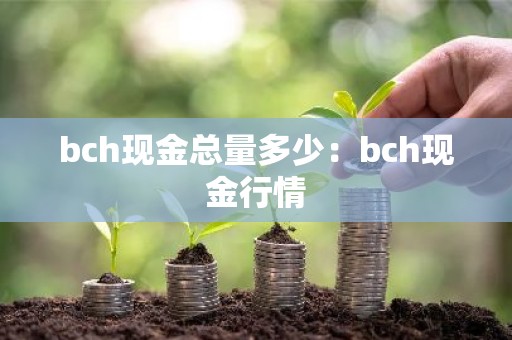 bch现金总量多少：bch现金行情