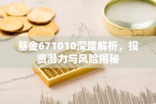 基金671010深度解析，投资潜力与风险揭秘
