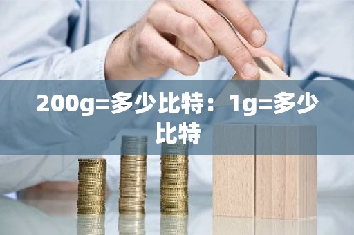 200g=多少比特：1g=多少比特