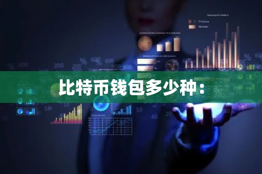 比特币钱包多少种：