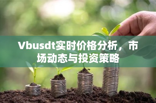 Vbusdt实时价格分析，市场动态与投资策略