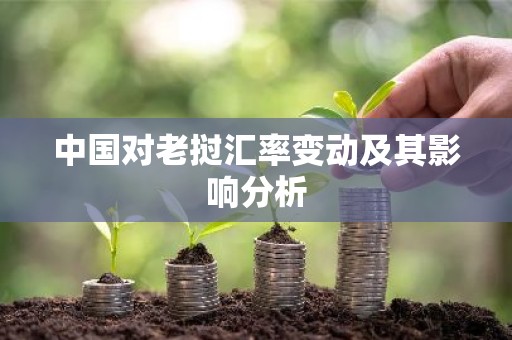 中国对老挝汇率变动及其影响分析
