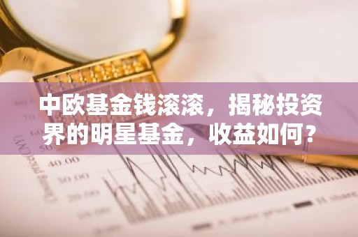 中欧基金钱滚滚，揭秘投资界的明星基金，收益如何？