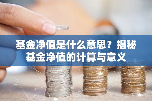 基金净值是什么意思？揭秘基金净值的计算与意义