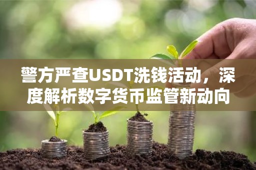 警方严查USDT洗钱活动，深度解析数字货币监管新动向
