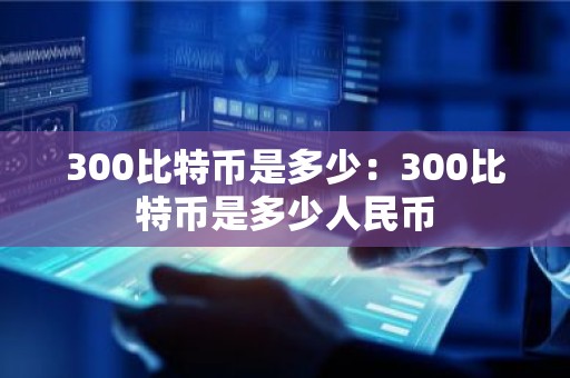 300比特币是多少：300比特币是多少人民币