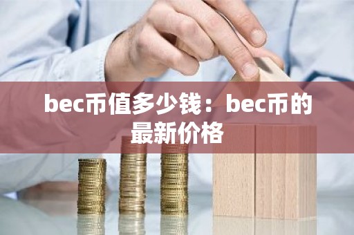 bec币值多少钱：bec币的最新价格
