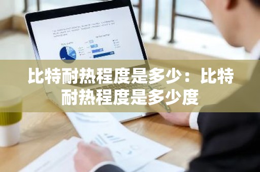 比特耐热程度是多少：比特耐热程度是多少度