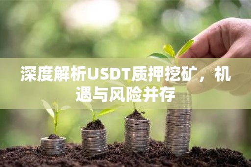 深度解析USDT质押挖矿，机遇与风险并存