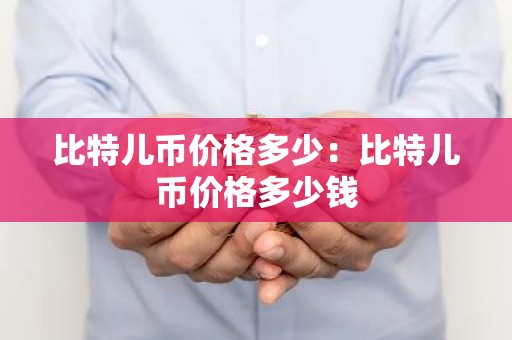比特儿币价格多少：比特儿币价格多少钱
