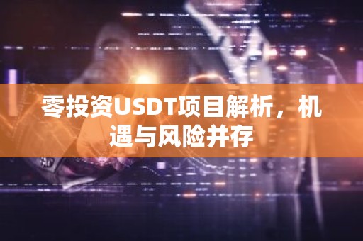 零投资USDT项目解析，机遇与风险并存