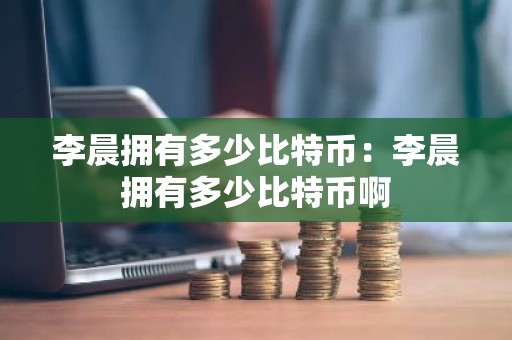 李晨拥有多少比特币：李晨拥有多少比特币啊