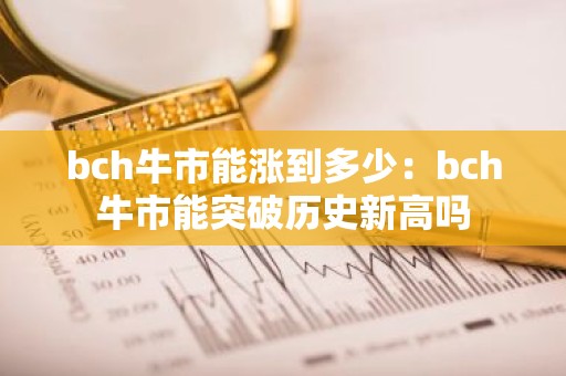 bch牛市能涨到多少：bch牛市能突破历史新高吗