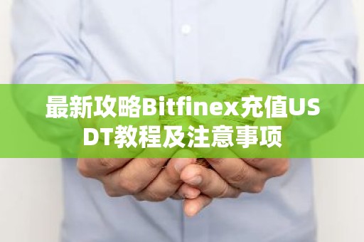 最新攻略Bitfinex充值USDT教程及注意事项