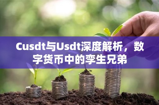 Cusdt与Usdt深度解析，数字货币中的孪生兄弟
