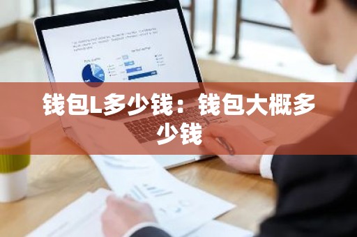 钱包L多少钱：钱包大概多少钱