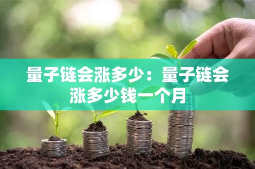 量子链会涨多少：量子链会涨多少钱一个月
