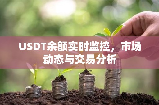 USDT余额实时监控，市场动态与交易分析