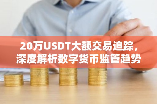 20万USDT大额交易追踪，深度解析数字货币监管趋势