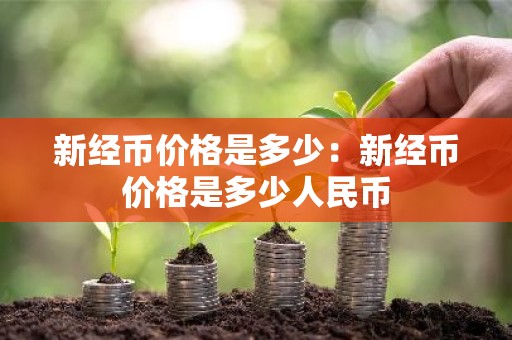 新经币价格是多少：新经币价格是多少人民币