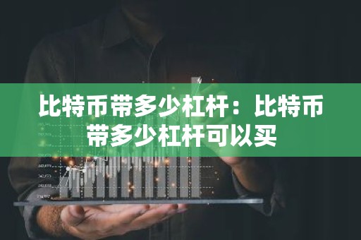 比特币带多少杠杆：比特币带多少杠杆可以买