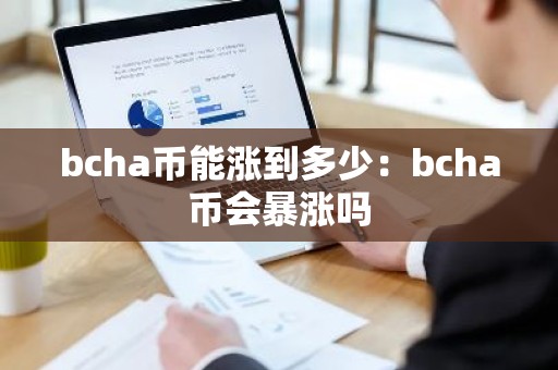 bcha币能涨到多少：bcha币会暴涨吗