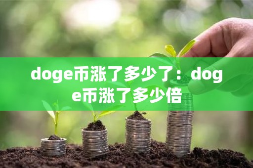 doge币涨了多少了：doge币涨了多少倍