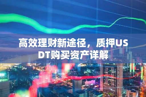 高效理财新途径，质押USDT购买资产详解